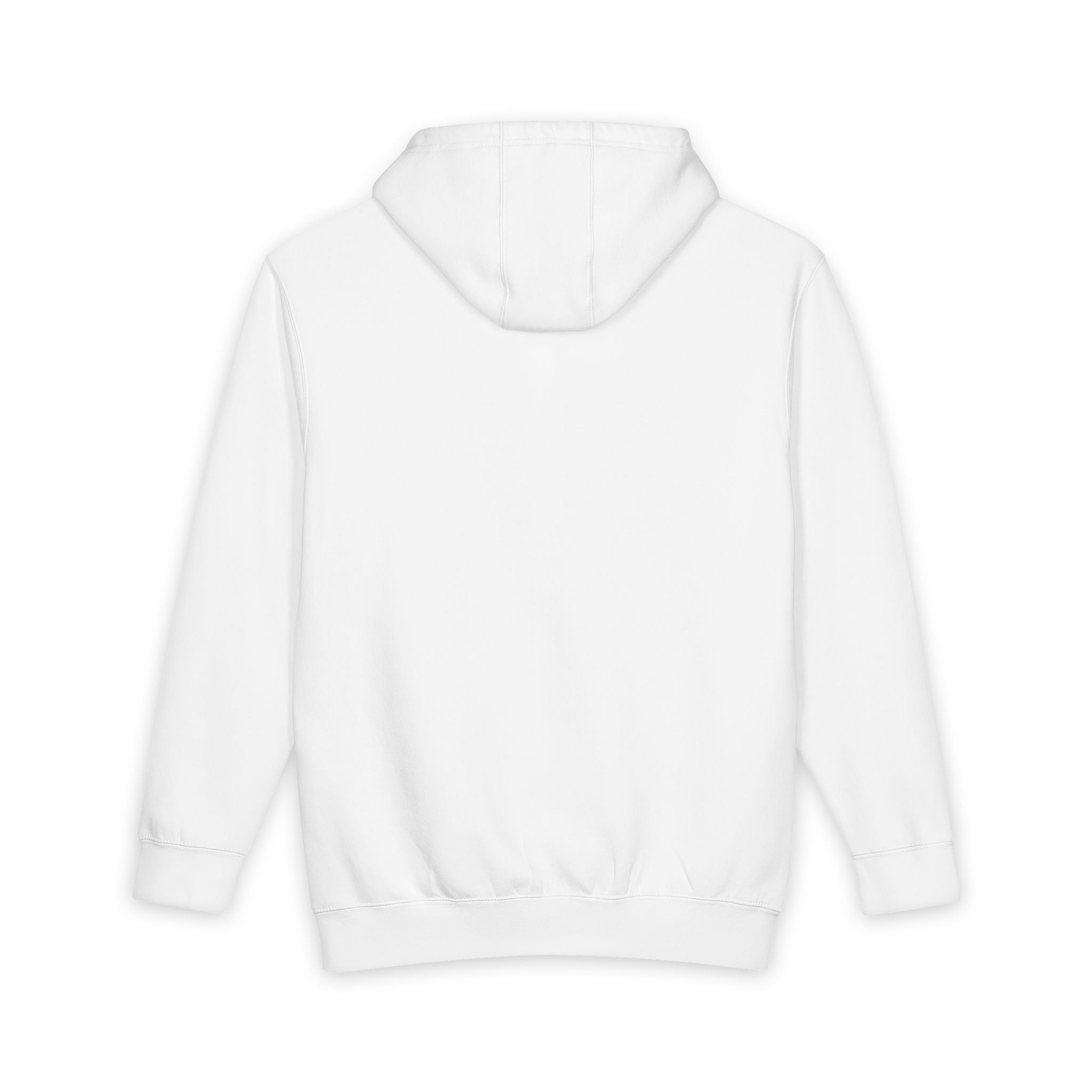 Equestrian Athletic Club hoodie with vintage horse crest